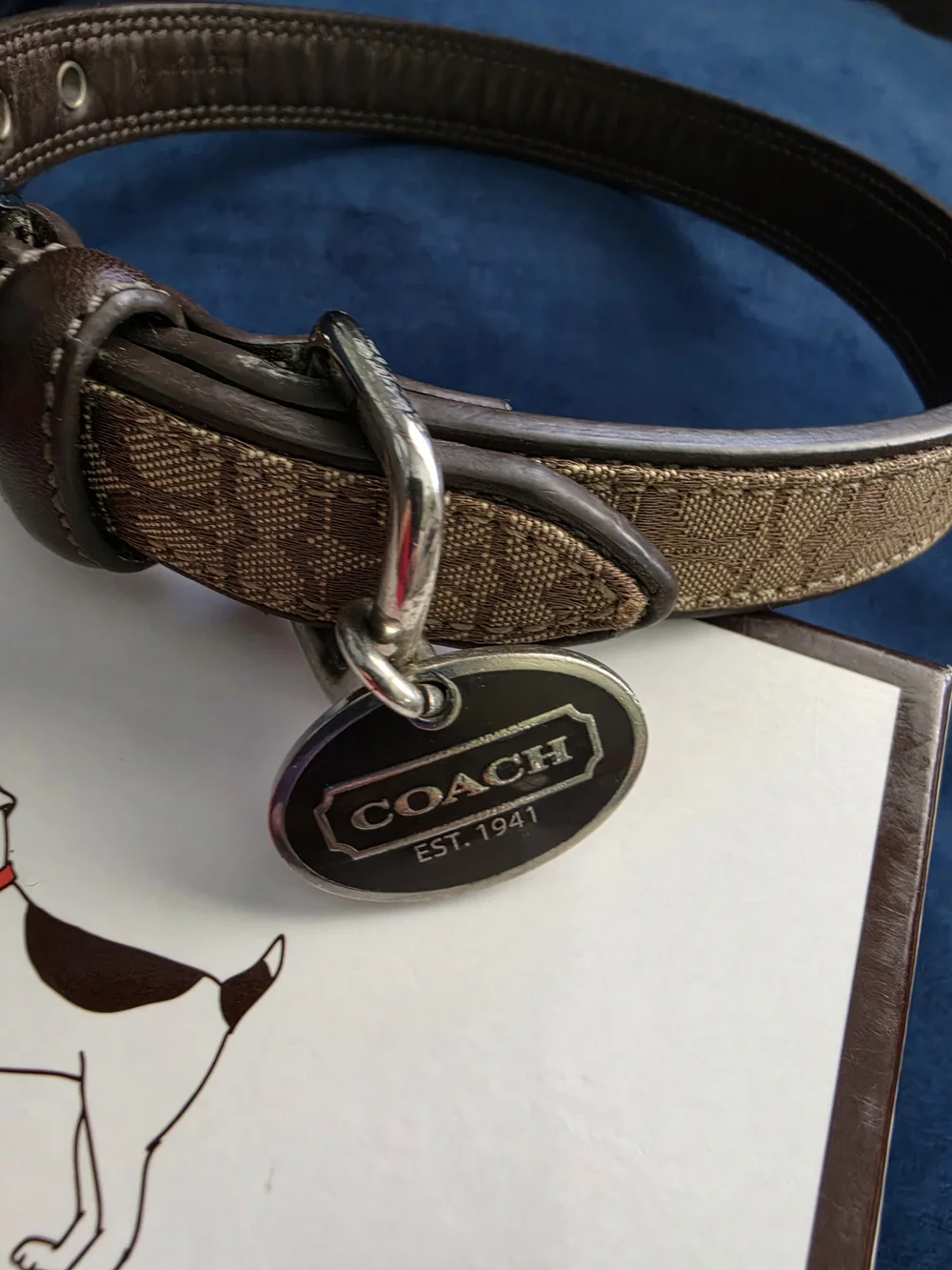 Coach Brown Signature Canvas Belt with Silver-Tone Hardware